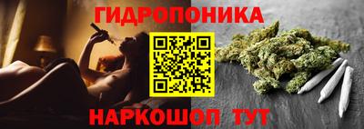 крисы Балаково