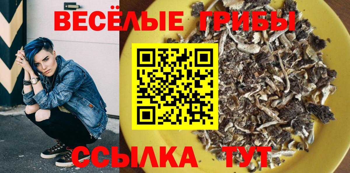 Галлюциногенные грибы мицелий Гусев