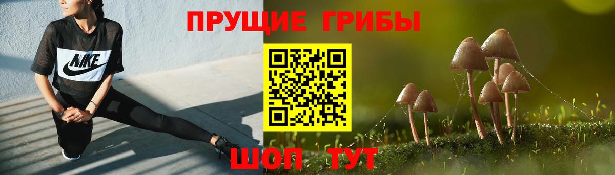 Галлюциногенные грибы ЛСД  Вход с VPN  Гусев  Галлюциногенные грибы Psilocybe 